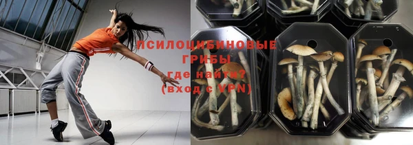 spice Богородицк
