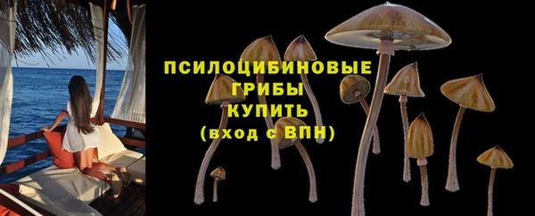 стафф Струнино