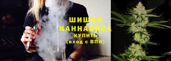 метадон Богданович