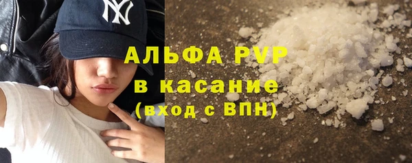 тгк Бородино