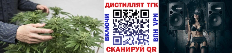 даркнет сайт  MEGA   ТГК вейп  Кирс 