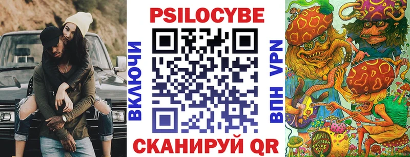 Галлюциногенные грибы Psilocybe  где купить наркотик  Кирс 